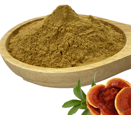 ganoderma lucidum extracts.png